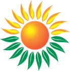Bright Green Energy Foundation